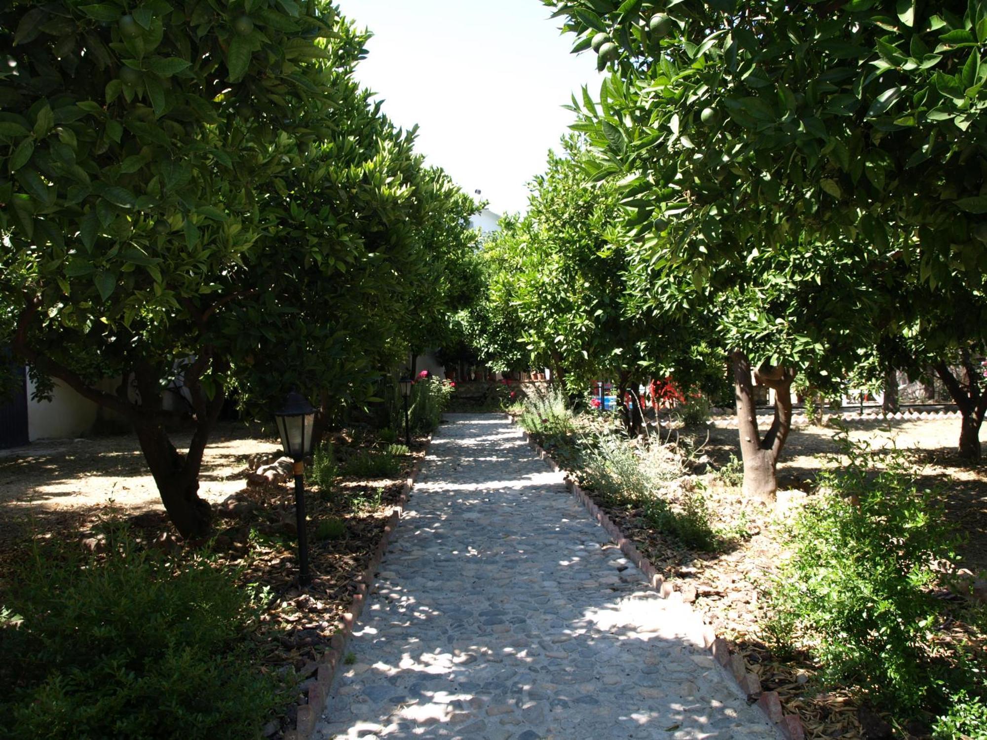 La Despensa Del Valle Restábal المظهر الخارجي الصورة